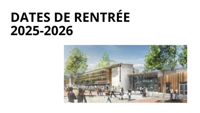 Copie de Vignettes ENT 1(3).png