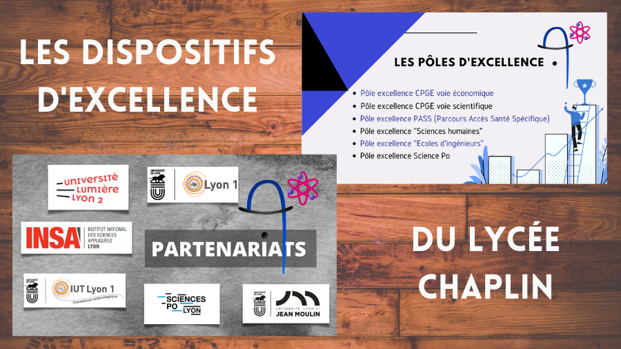 Dispositifs d excellence(1).png